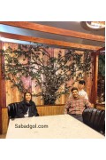 گل رونده مصنوعی برای کافه